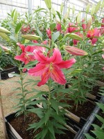 [5348 Bromley DJ No01.JPG]